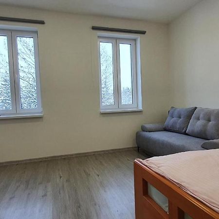 Apartment 35M2 Karlovy Vary Extérieur photo