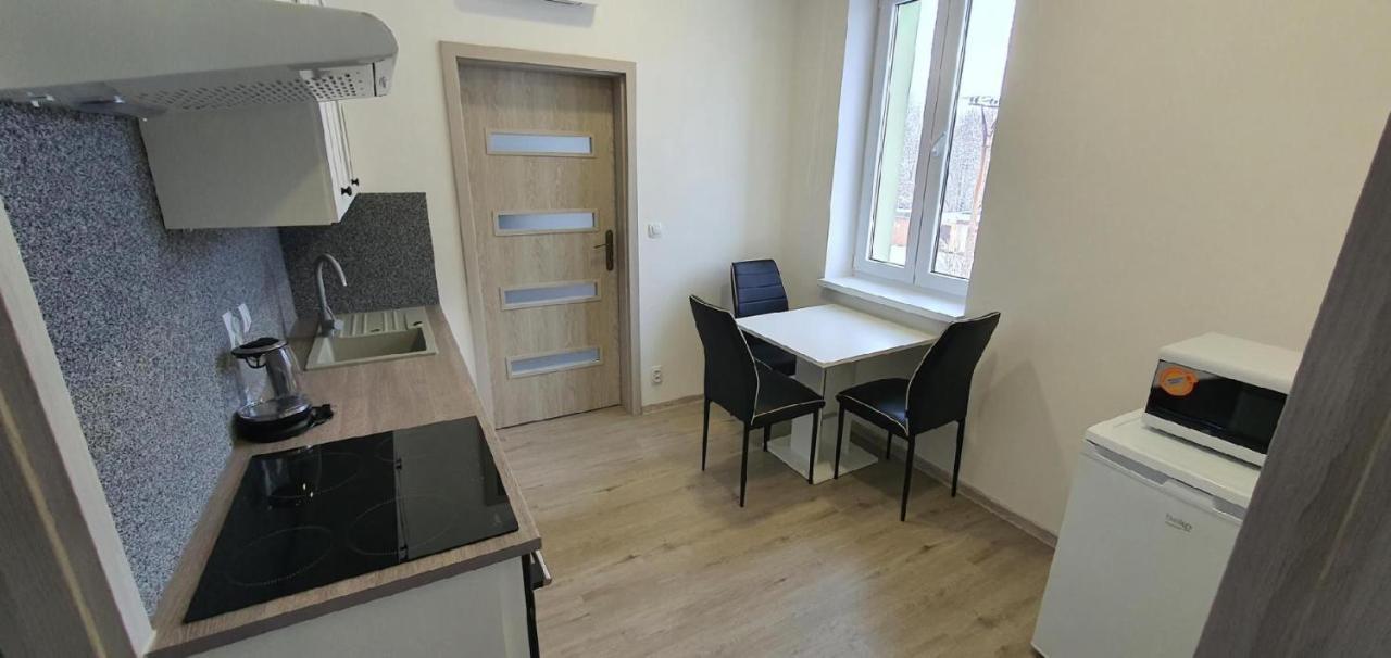 Apartment 35M2 Karlovy Vary Extérieur photo