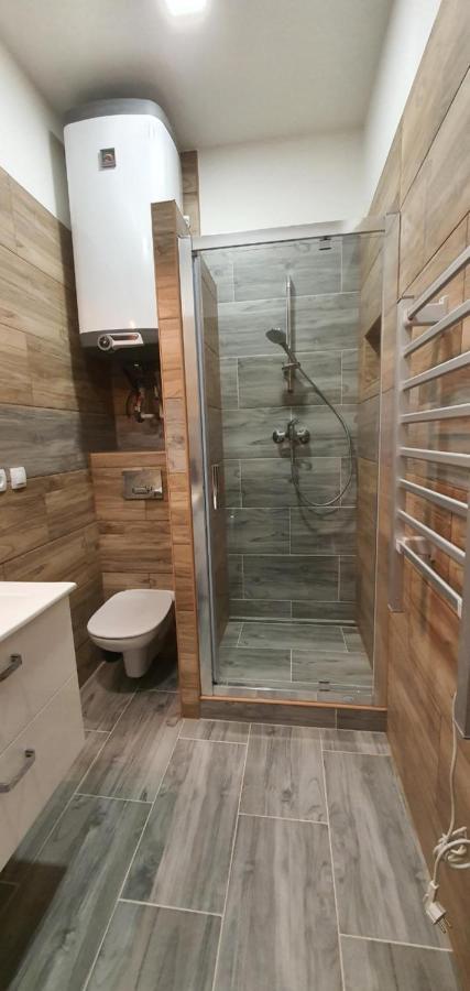 Apartment 35M2 Karlovy Vary Extérieur photo