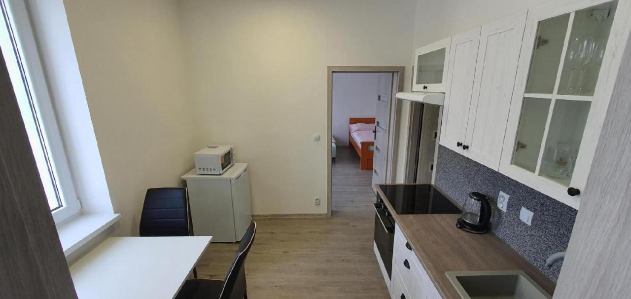 Apartment 35M2 Karlovy Vary Extérieur photo